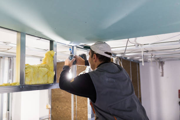 Best Soundproof Insulation Installation  in Belville, NC