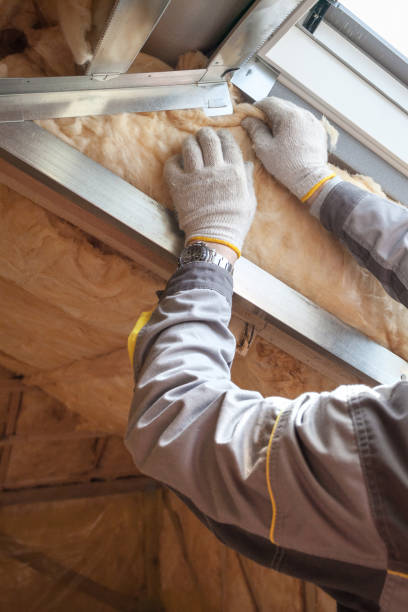 Best Insulation Contractor Near Me  in Belville, NC
