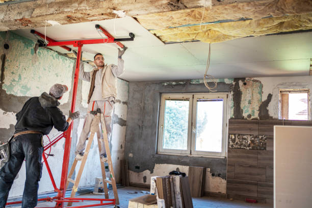 Best Insulation Repair Services  in Belville, NC