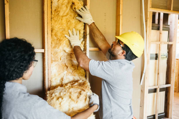 Best Cellulose Insulation  in Belville, NC