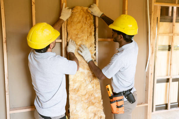 Best Insulation for New Construction  in Belville, NC