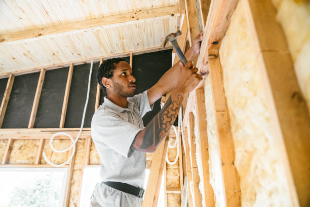 Best Energy-efficient Insulation  in Belville, NC