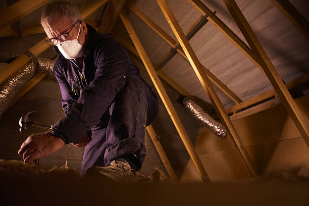 Best Insulation Replacement Services  in Belville, NC